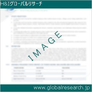 グローバルリサーチ調査レポートのイメージ